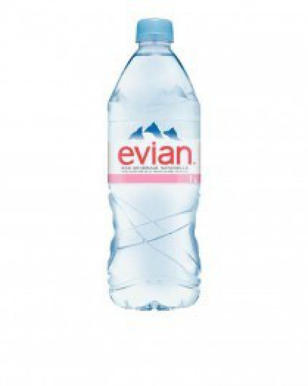 Eau Minérale Evian Pet 1 Litre Sebéo